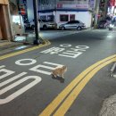 동아리꼬치구이 이미지