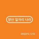 나라파출 이미지