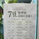 활짝핌 | [성남 고등동 꽃집] 프렌치 내추럴 감성 가득한 '활짝핌' 꽃다발 당일 픽업 찐후기 (+원데이클래스 반값...