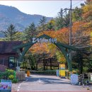 대아수목원&대아호 이미지