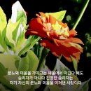 미소에너지