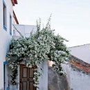 카페스크린 이미지