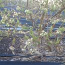 우리농원 이미지