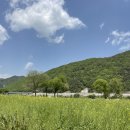 금암리 간이화장실 이미지