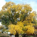 삼가파출소 이미지