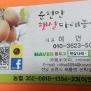 햇살과일