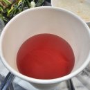 마한로 | [익산 맛집] 논두렁 장어구이 솔직 후기!![영등동][전주근교][회식]