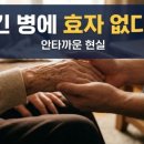 고목나무 이미지