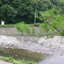 부형농장 이미지