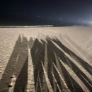 원창학원 | 첫눈까지는 낭만이지만 그후로는 재난이야