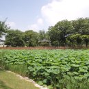 바람새마을 이미지