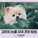 루아동물병원 이미지