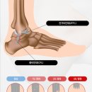 연세건우병원 이미지