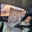 한희농장 | 강릉 관광지 아이와 가볼만한 곳 _ 경포 아쿠아리움에 다녀왔어요!