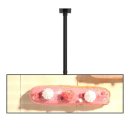 상업용 79 이미지