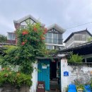 녹두밭빈대떡 | 춘천 블루리본 50년 전통 실비막국수🍜 / 레트로한 무드크로프트 커피 📻☕🌿