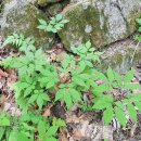 노두농장 이미지