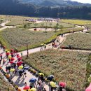 청송정원 이미지