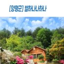 별하나나하나펜션 이미지