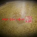 진고려삼계탕 이미지