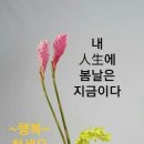 친구야술한잔하세 이미지