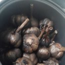 지리산구름정원 이미지