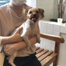 라임동물병원 이미지