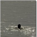 호수자동차 이미지