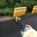 비울채울 이미지