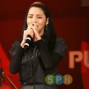 낭만고양이 이미지