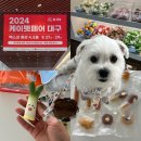 댕이맘마 | 2024 케이펫페어 대구 엑스코 펫박람회 첫날 방문 후기