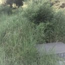 완산-140 이미지