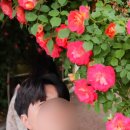 헤어레빗 이미지