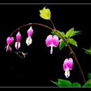 옥계남로-11 이미지