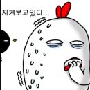 123막창양산 이미지