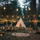 숲속작은개울 이미지