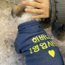 열매떡143