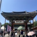 부처님 오신날 봉은사 방문 후기｜서울 도심 속 힐링 사찰