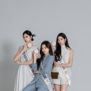 주식회사 선인 이미지