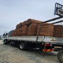 코코정비 이미지