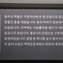 영암도기박물관 Daum카페