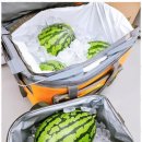 용인대 최고 태권도장 이미지