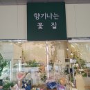 평촌역꽃집 향기나는꽃집 평촌점 꽃바구니 후기