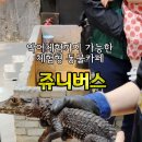 쥬니버스