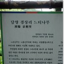 마을정자 이미지