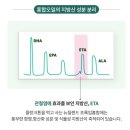퓨란 | “계단 오를 때 무릎 아프다면? 애터미 초록입홍합오일 15000 효과 직접 비교 (성분·후기 총정리)”