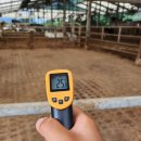 요한목장 이미지