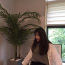 해미메종