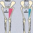 KY 휘트니스 이미지