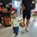 김포/강화도 아이랑 갈만한 곳 수산공원 몬스터리움 추천